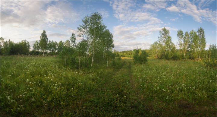Лесными дорогами