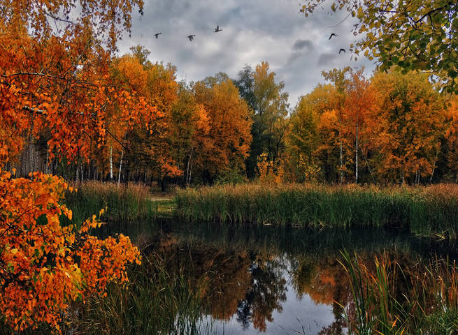 Осень