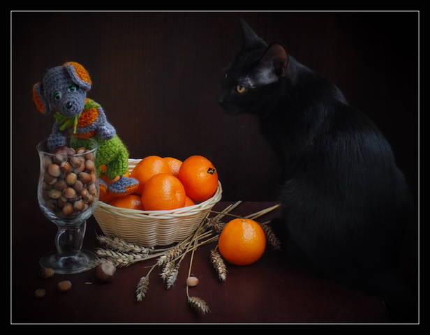 кошки-мышки