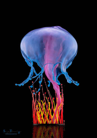 Splash