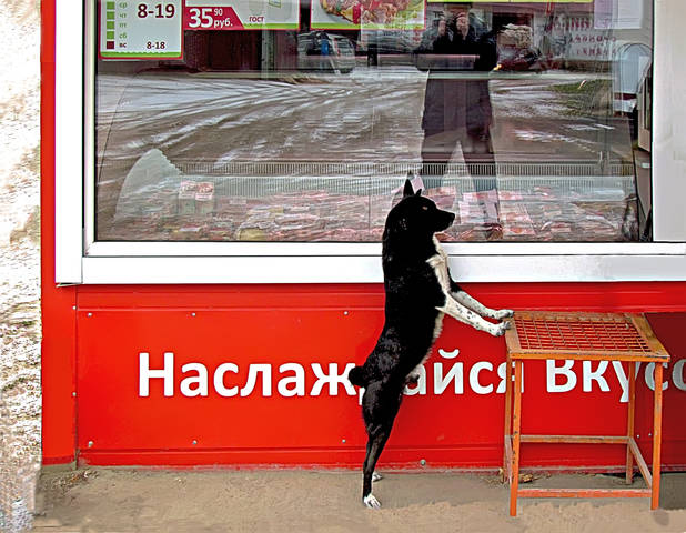 В городе Нерехте в начале ноября.