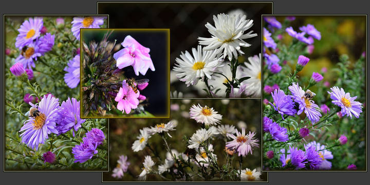 Природа