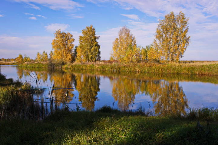 На осенней рыбалке.