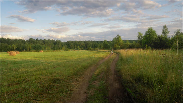 Вечер в поле