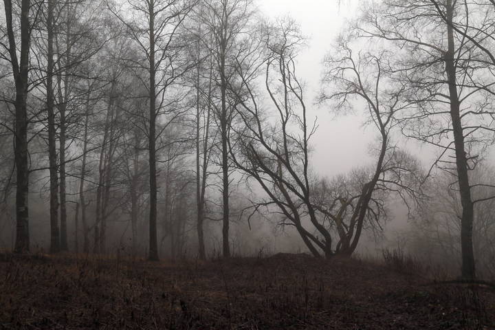 Бродилки в тумане*7