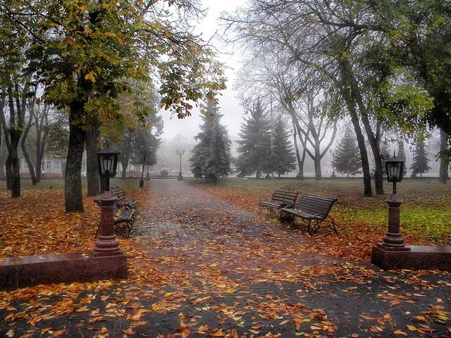 Осенние зарисовки