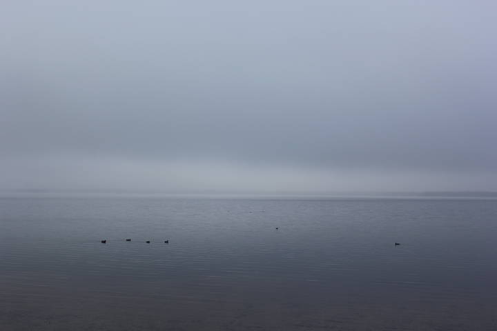 Туман над Минским морем