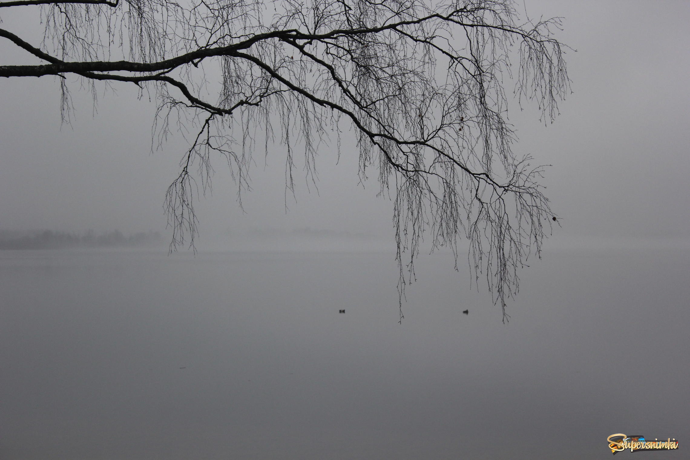 Туман на Минском море