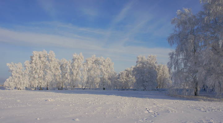 Белое и голубое.