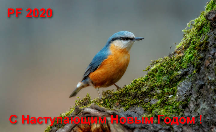 Открытка