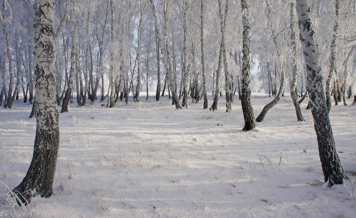 Зима колок посетила.