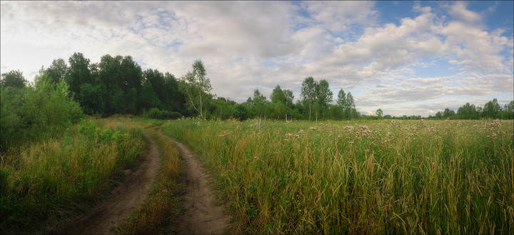 Лесными дорогами