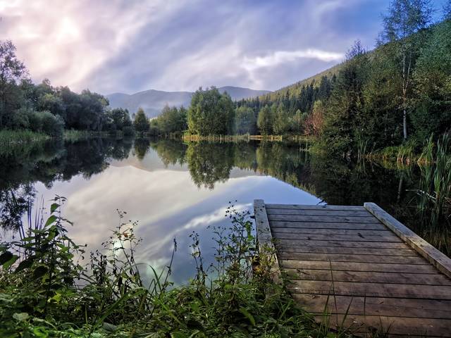 В Карпатах