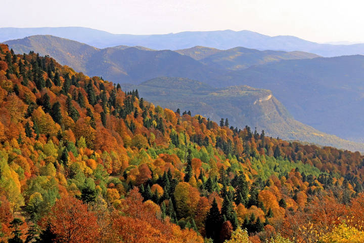 Палитра октября