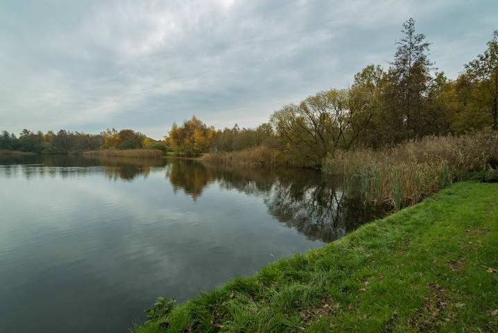 Голландское утро
