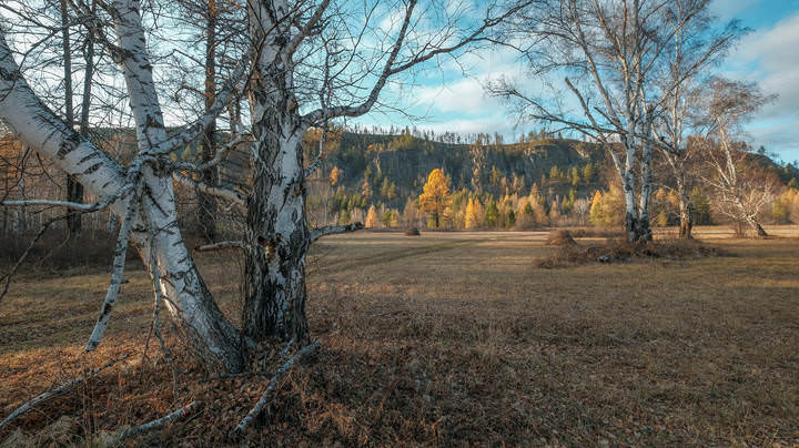 Осеннее настроение.