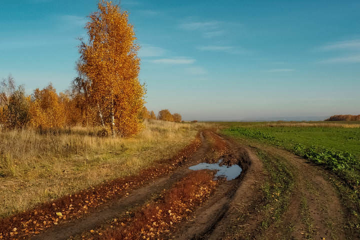Венец