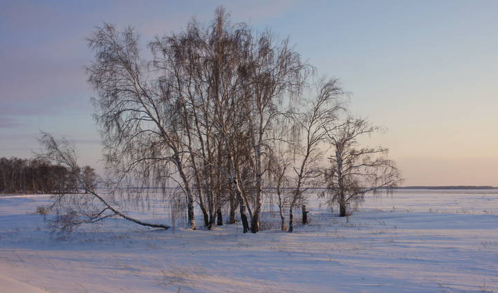 Колок в предзакатном.