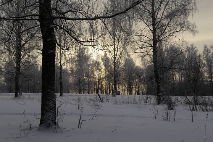 Утро зимнее