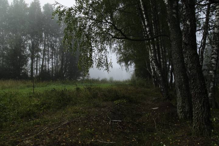 Утро с туманом