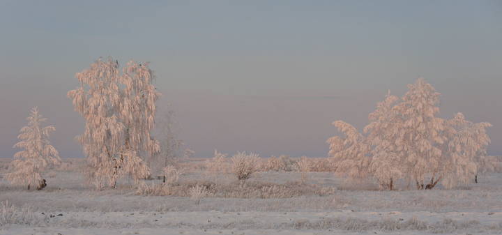 Словно в серебре.