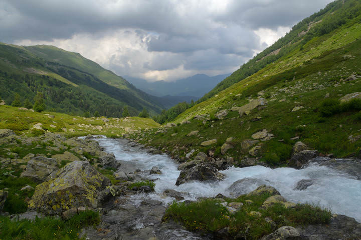 ... шумная река.