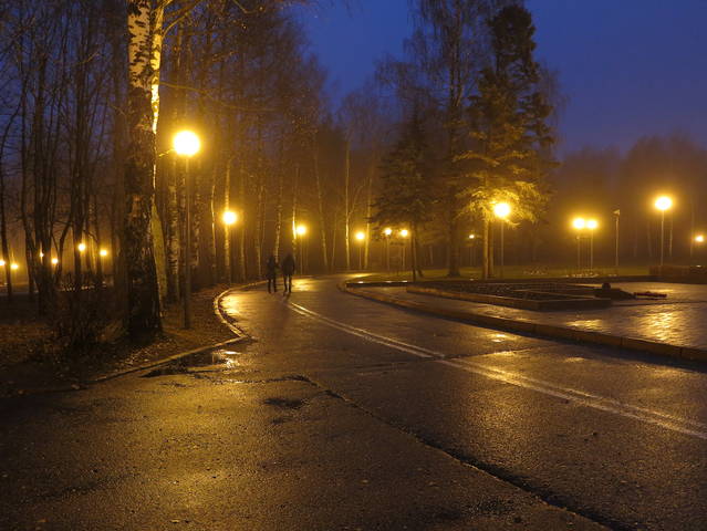 Вечерняя прогулка
