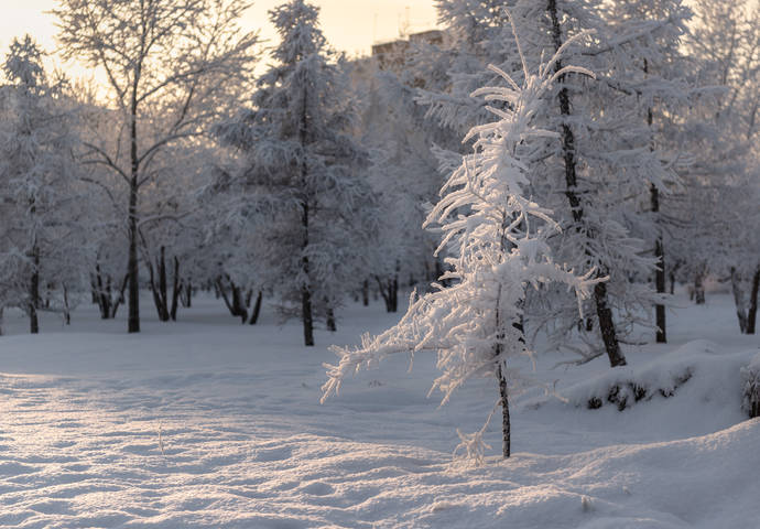 Недавно был снегопад.