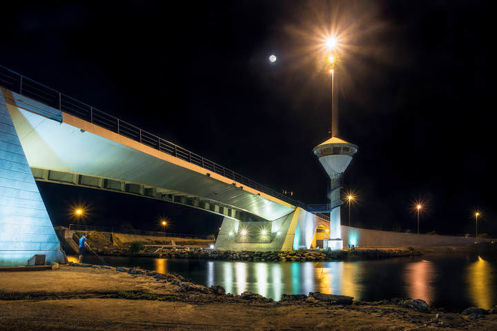 Поймать рыбу-луну
