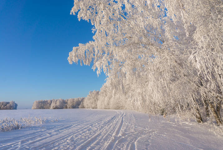 морозно