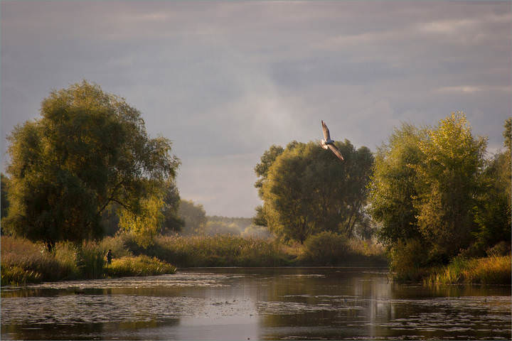 Ранней осенью.