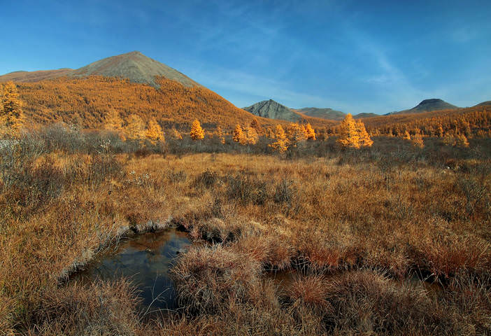 Рыжая осень
