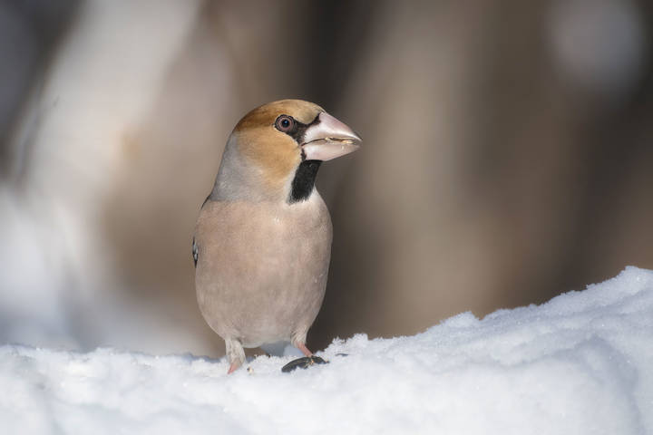 # 2