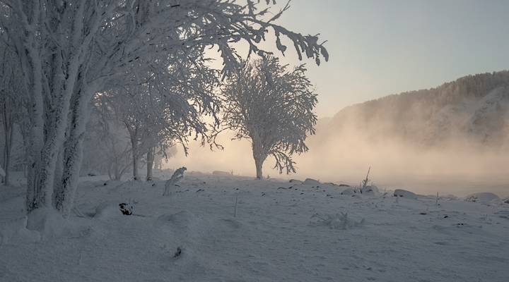 У морозного Енисея.