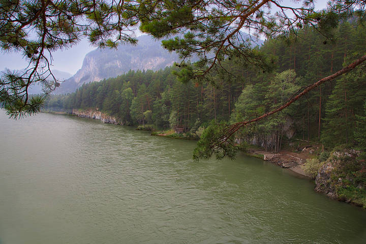 Река Катунь.