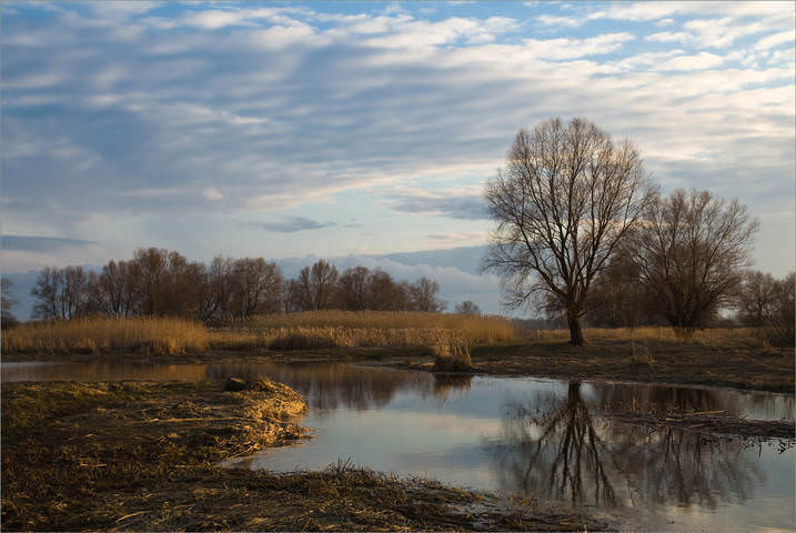 Первый день весны.