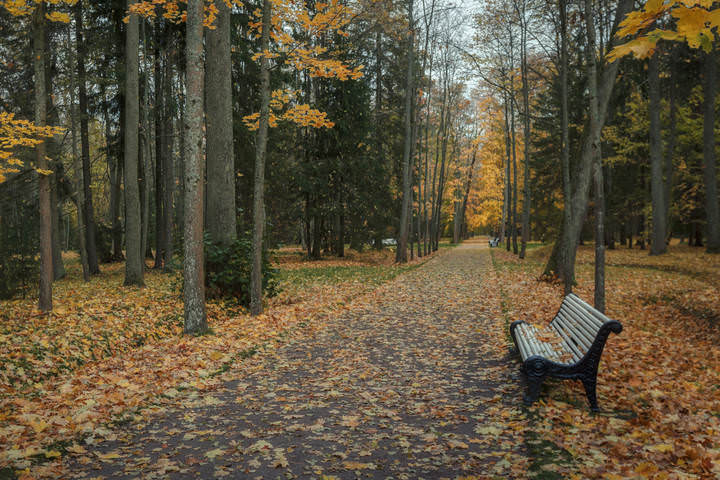 Скамейка