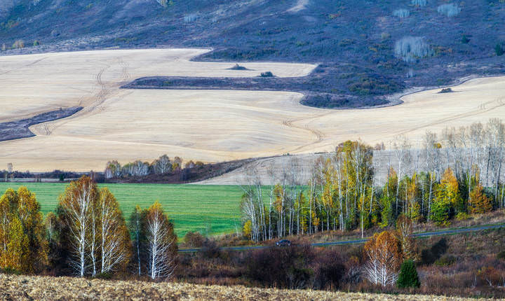 Осенняя