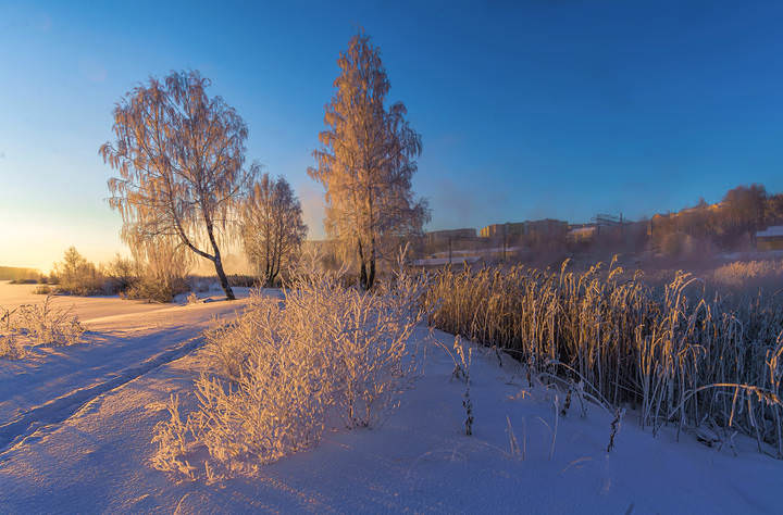 Солнечное утро