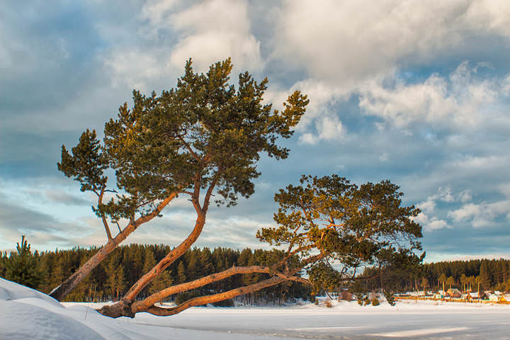 В  лучах заката