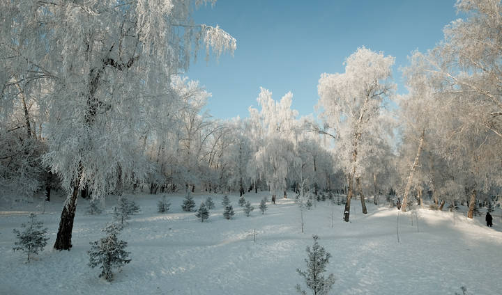 В зимнем парке.