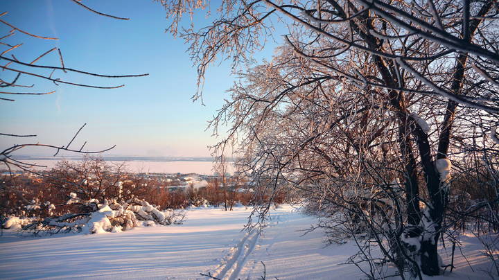 Лыжня