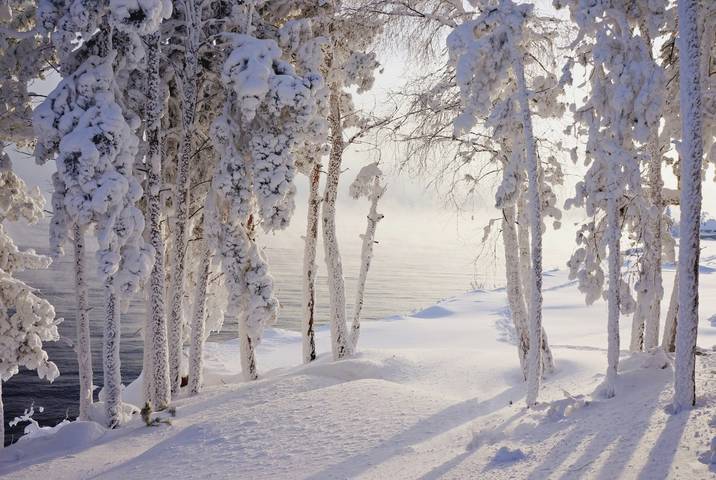 Зимнее.