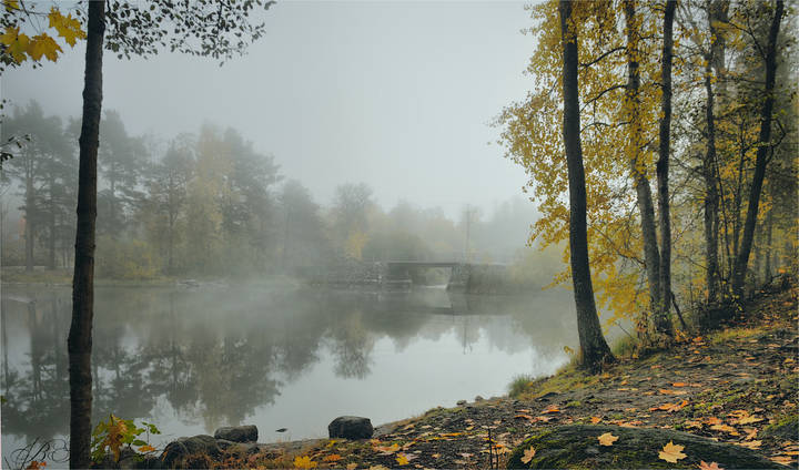 Туманные зарисовки.