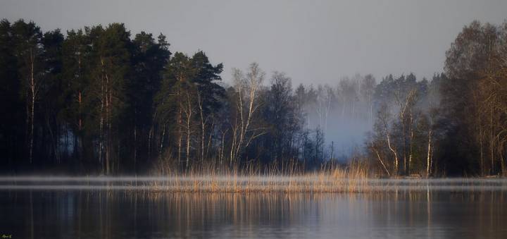 Рассвет у протоки...........