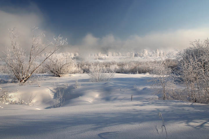 Морозный полдень