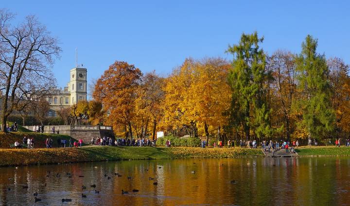 Воскресный день