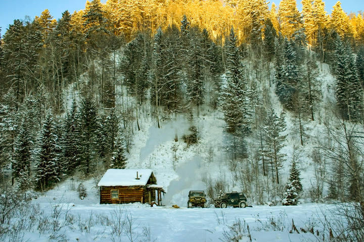 Утром в тайге.