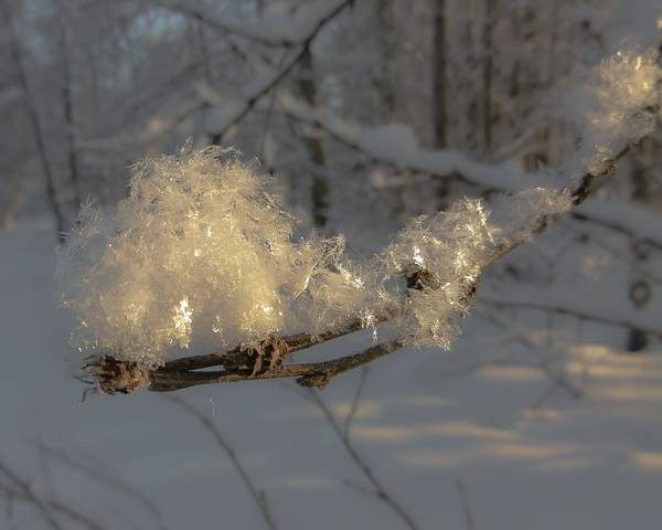 Невесомость