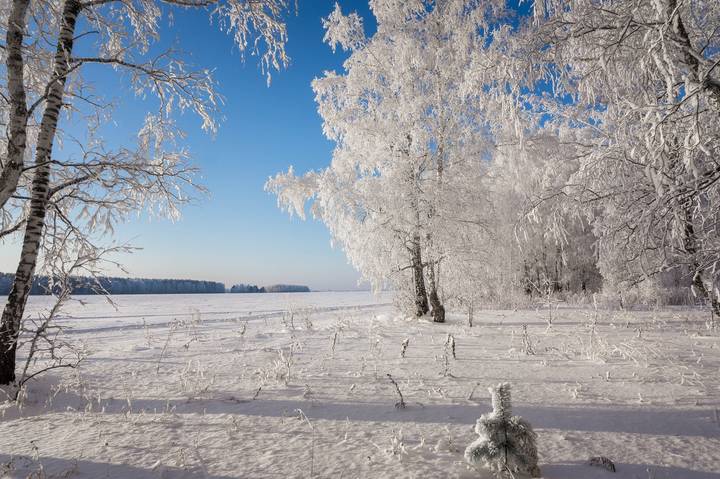 январь
